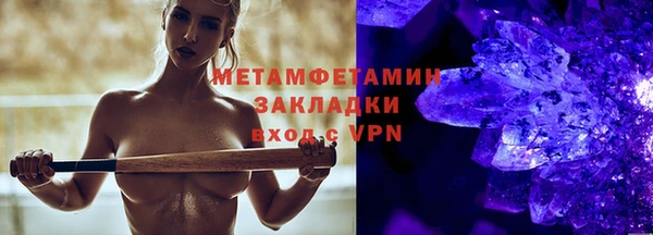 индика Вяземский