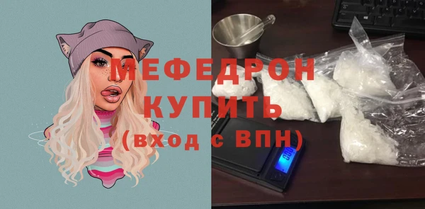 индика Вяземский