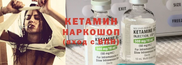 индика Вяземский