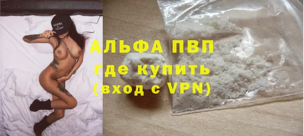 индика Вяземский