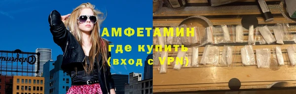 индика Вяземский