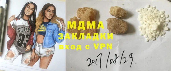 индика Вяземский