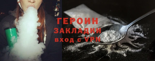 индика Вяземский