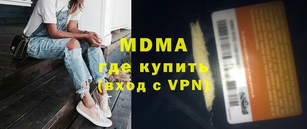 индика Вяземский