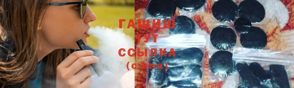 индика Вяземский