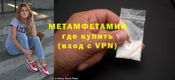 индика Вяземский