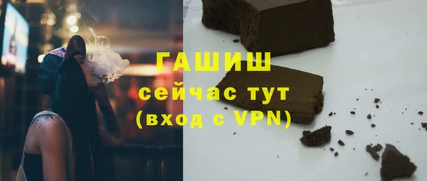 индика Вяземский