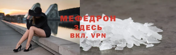индика Вяземский