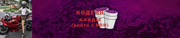 индика Вяземский