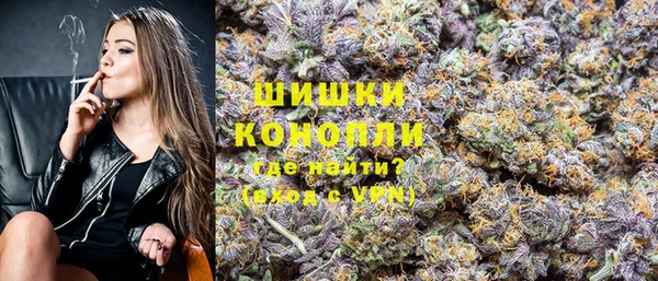 индика Вяземский