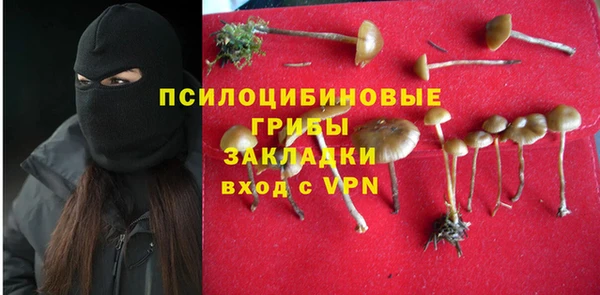 индика Вяземский