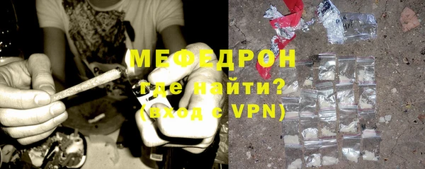 индика Вяземский