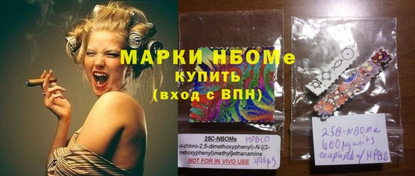 индика Вяземский
