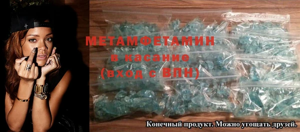 индика Вяземский