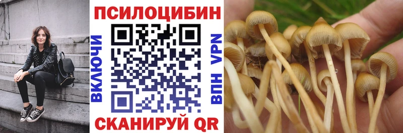 Галлюциногенные грибы Magic Shrooms  blacksprut онион  Барнаул  магазин  наркотиков 